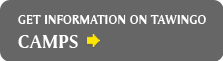 Get Information on Camp Tawingo